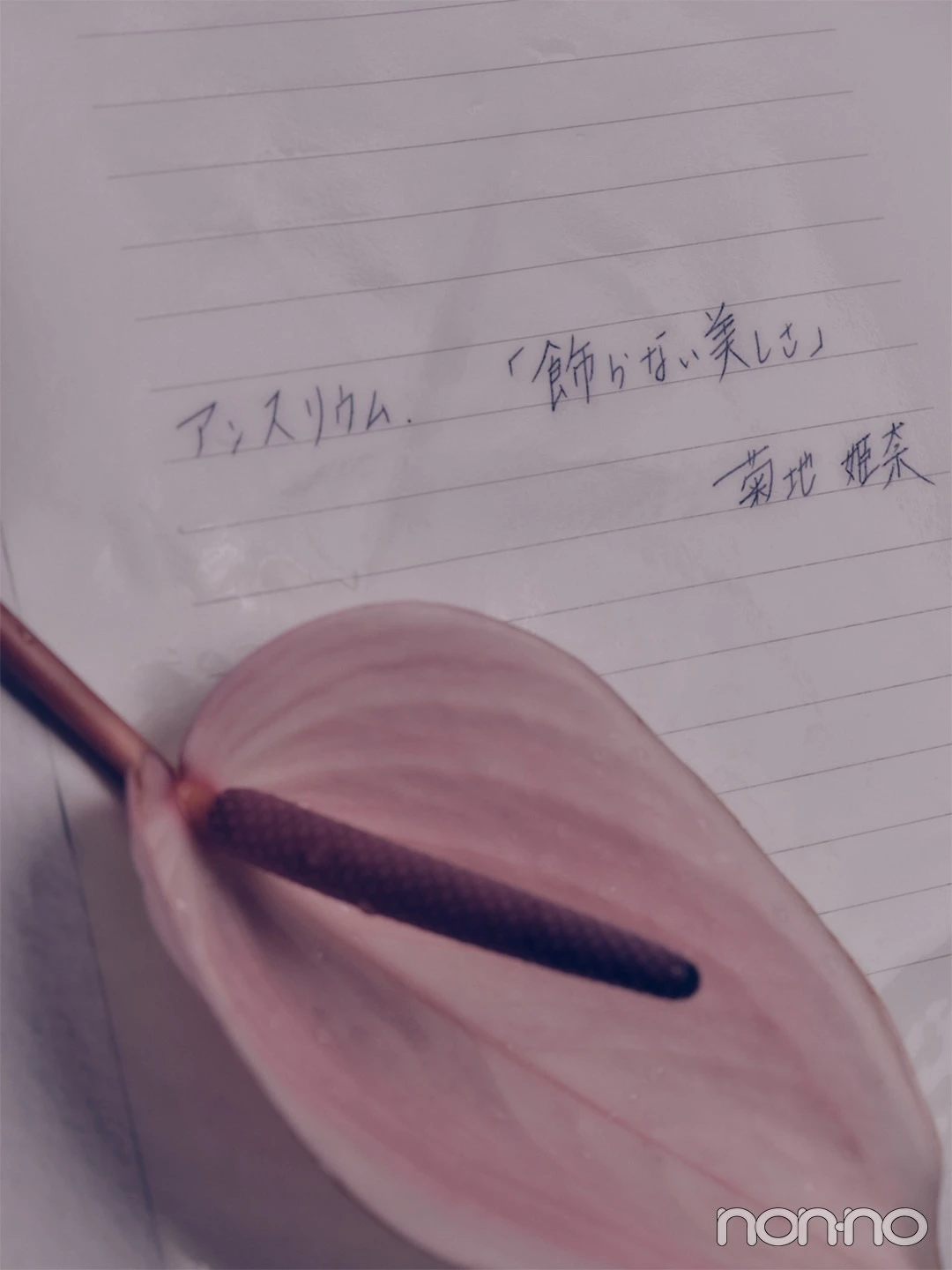 菊地姫奈直筆の「アンスリウム」と花言葉「飾らない美しさ」