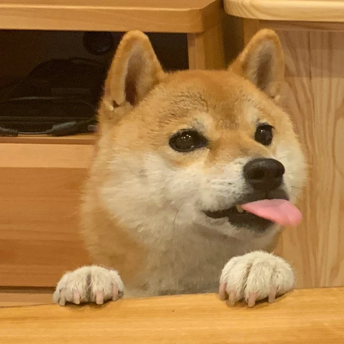 編集ちゃんのプロフィール画像