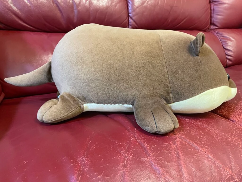 八景島シーパラダイス限定のくじ引きで当たったカワウソ2等のぬいぐるみを左横から撮影した画像です。