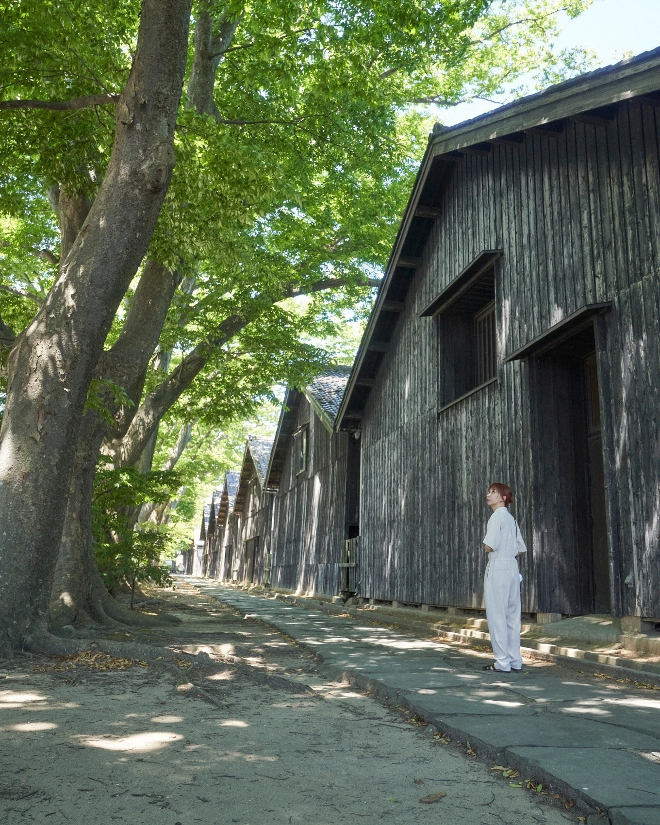 酒田の町の写真