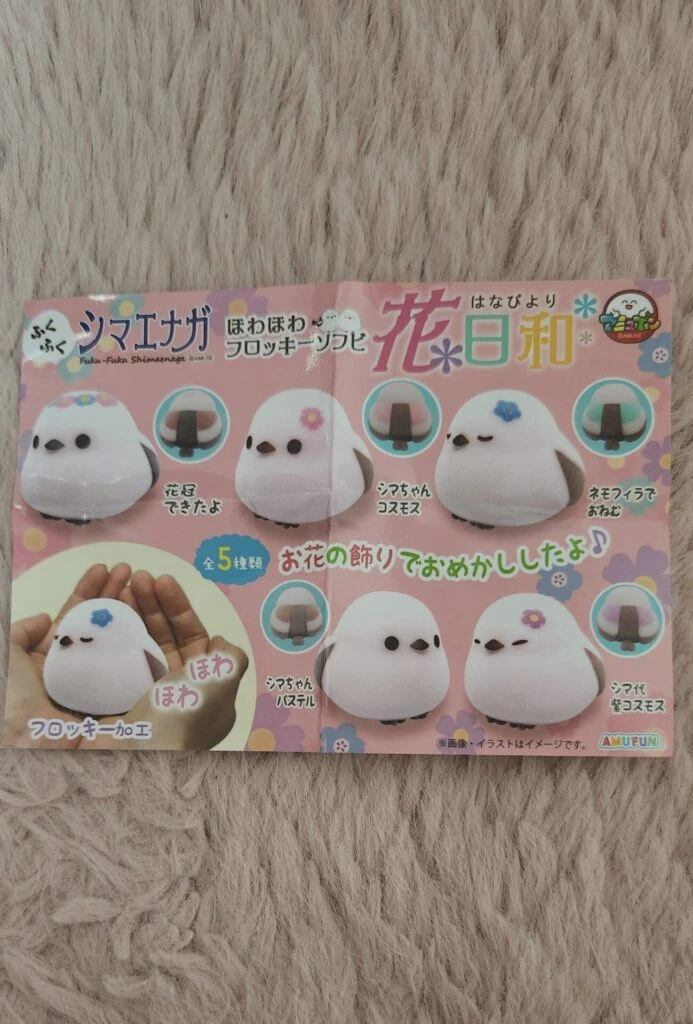 全種類の写真