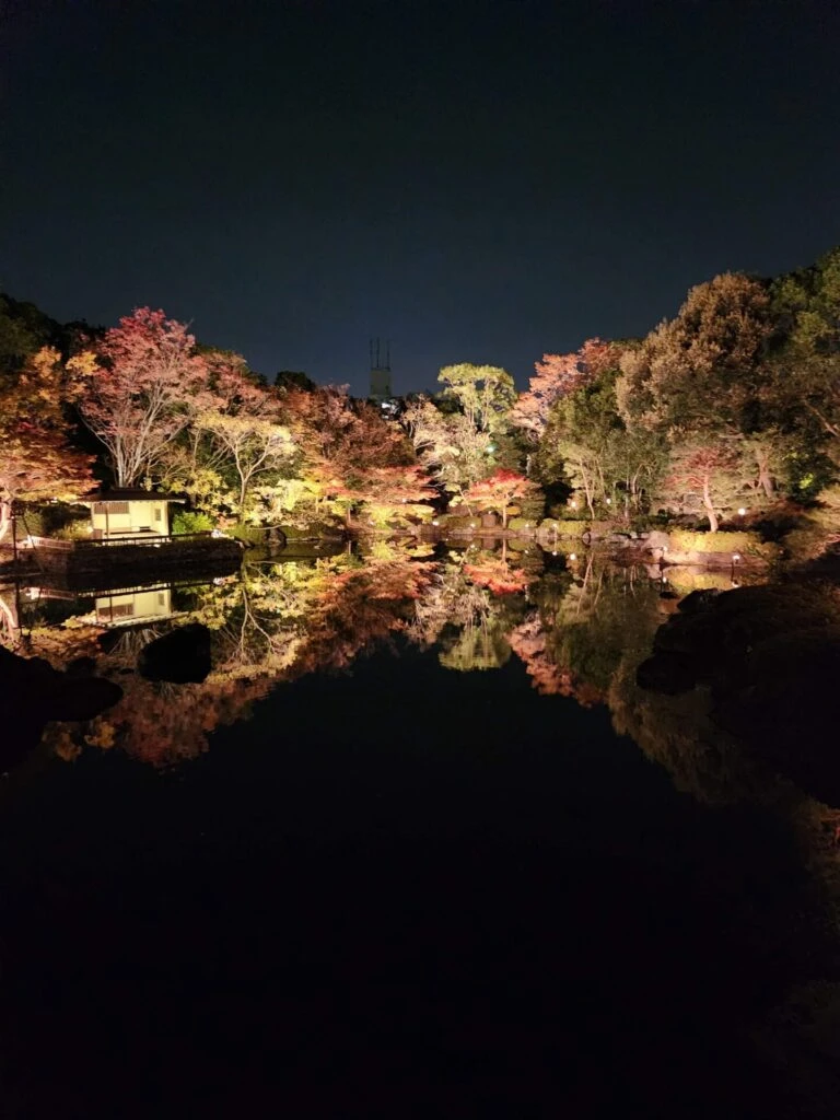 白鳥庭園 紅葉 ライトアップ 11月下旬 水 逆さ紅葉 名古屋 日本庭園