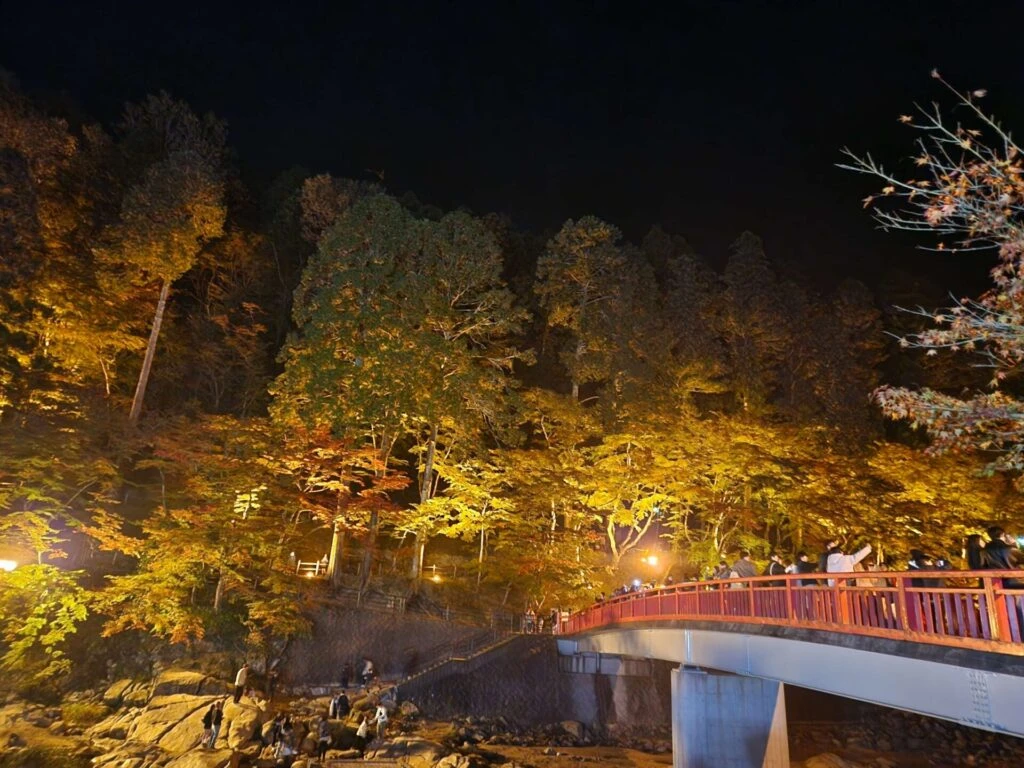 香嵐渓 もみじ 紅葉狩り おでかけ 橋 写真