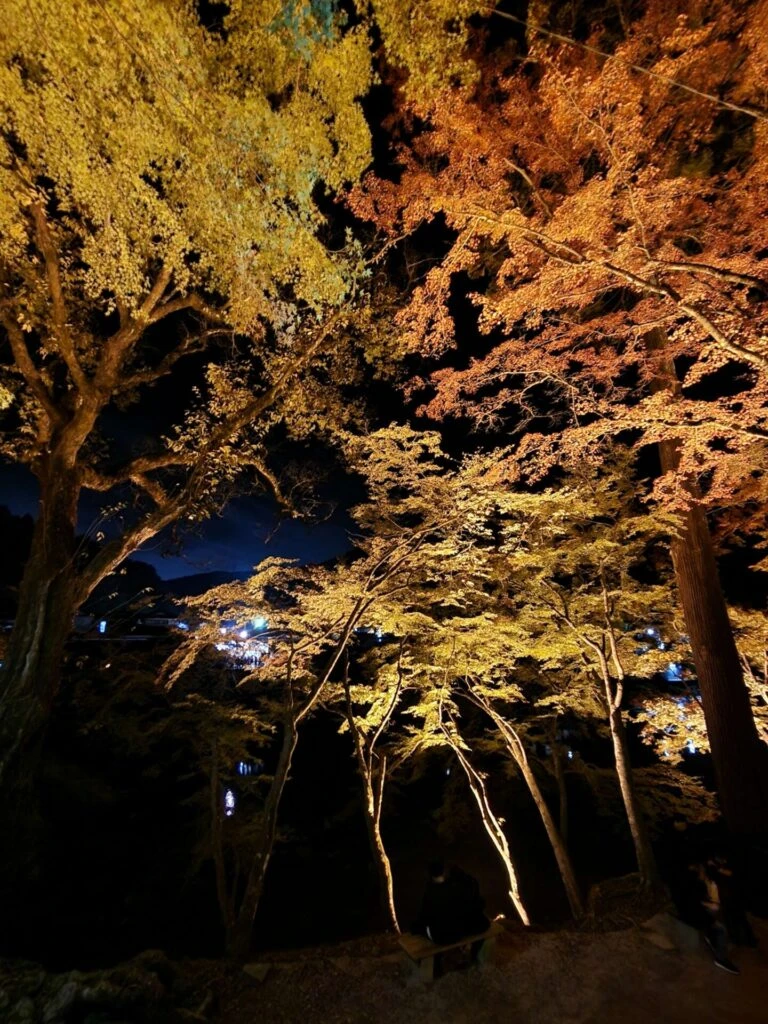 香嵐渓 ライトアップ 紅葉 おでかけ 11月下旬