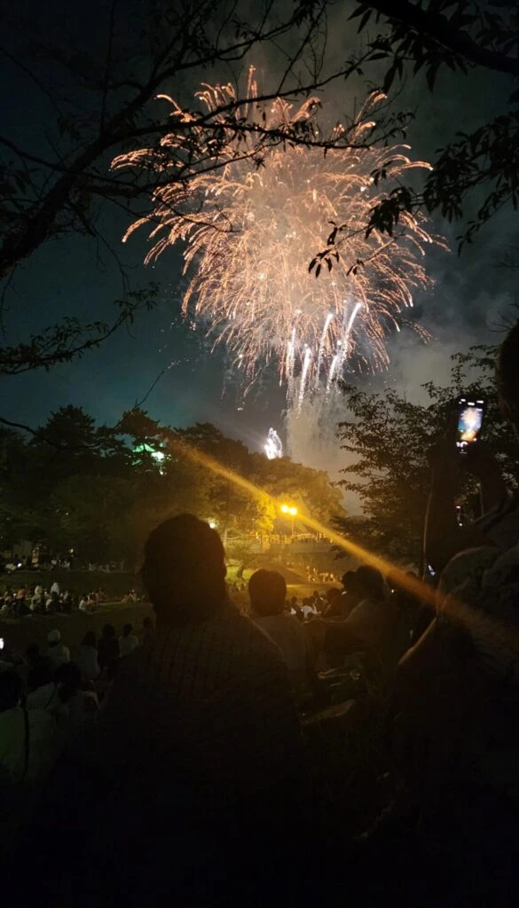岡崎城下家康公夏まつり 花火