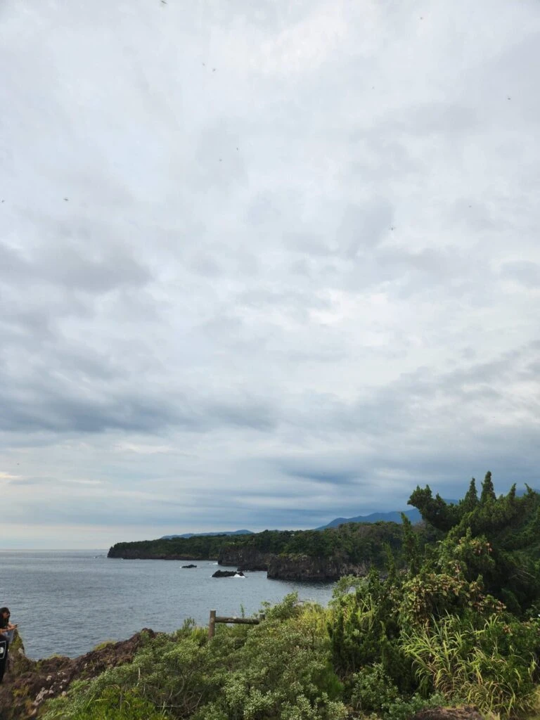 城ヶ崎海岸 岩