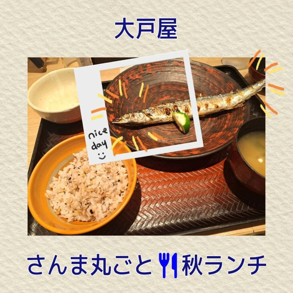 大戸屋 生さんま