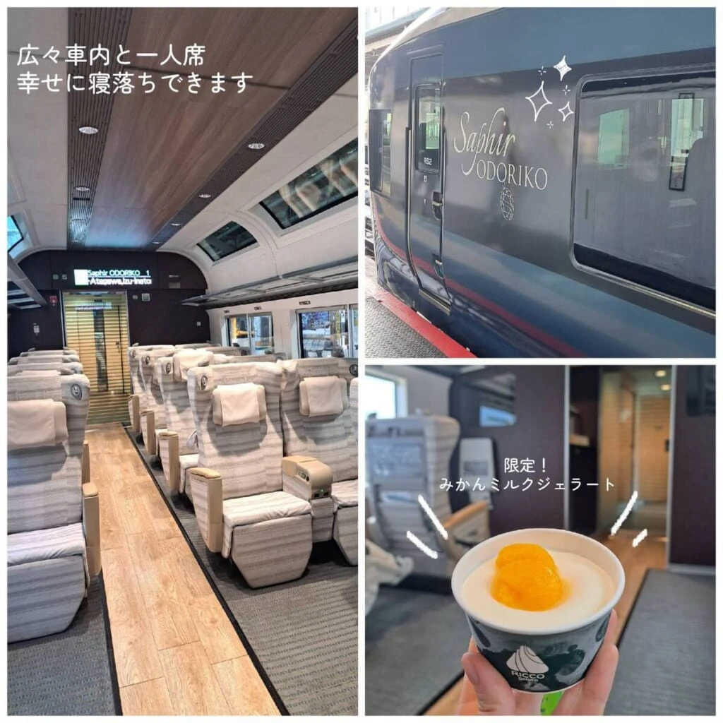サフィール踊り子　車内