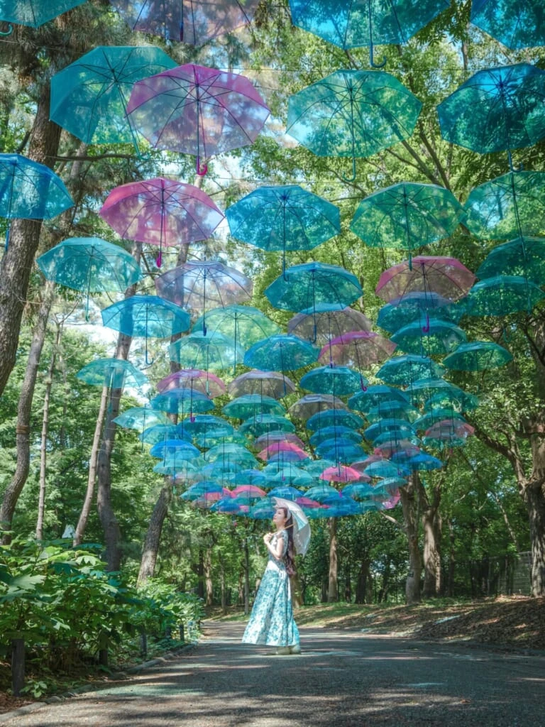 紫陽花スポット 長居植物園 アンブレラスカイ
