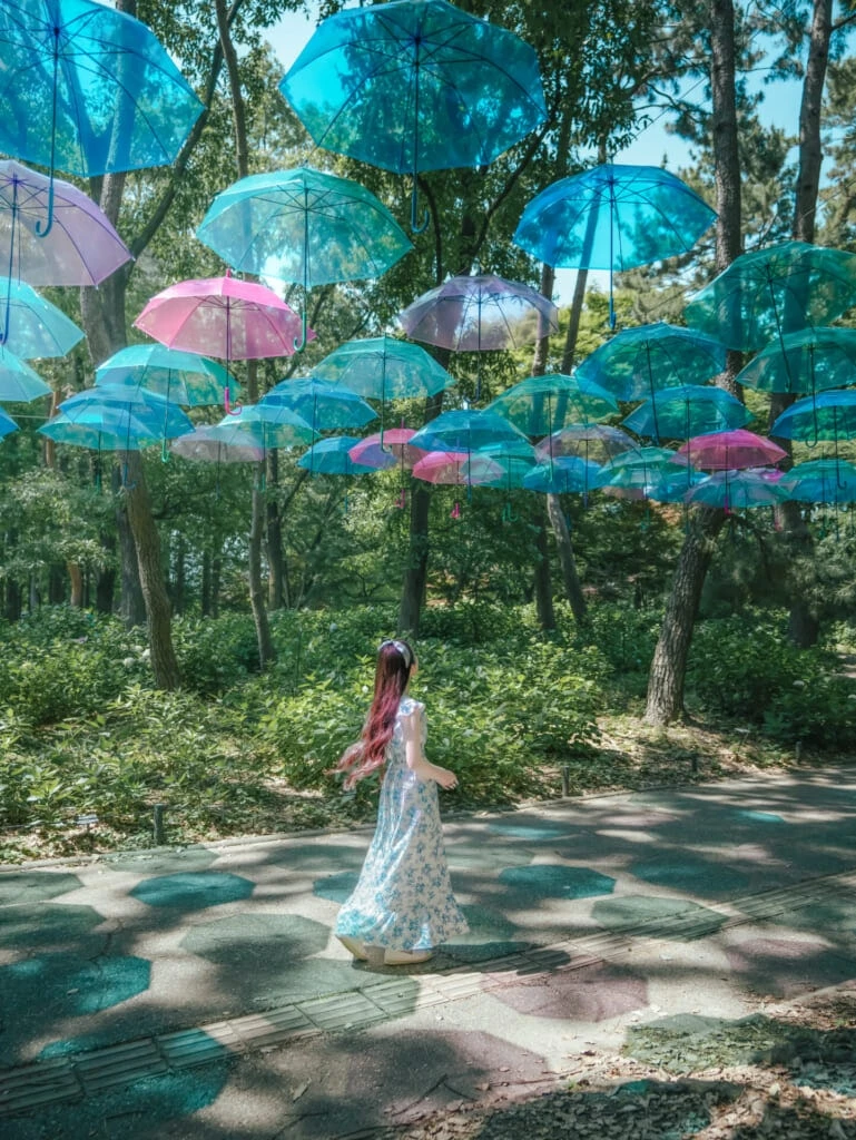 紫陽花スポット 長居植物園 アンブレラスカイ