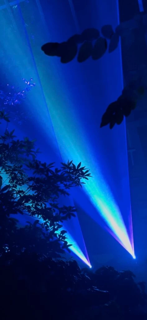 『LIGHT CYCLES』青の光の景色