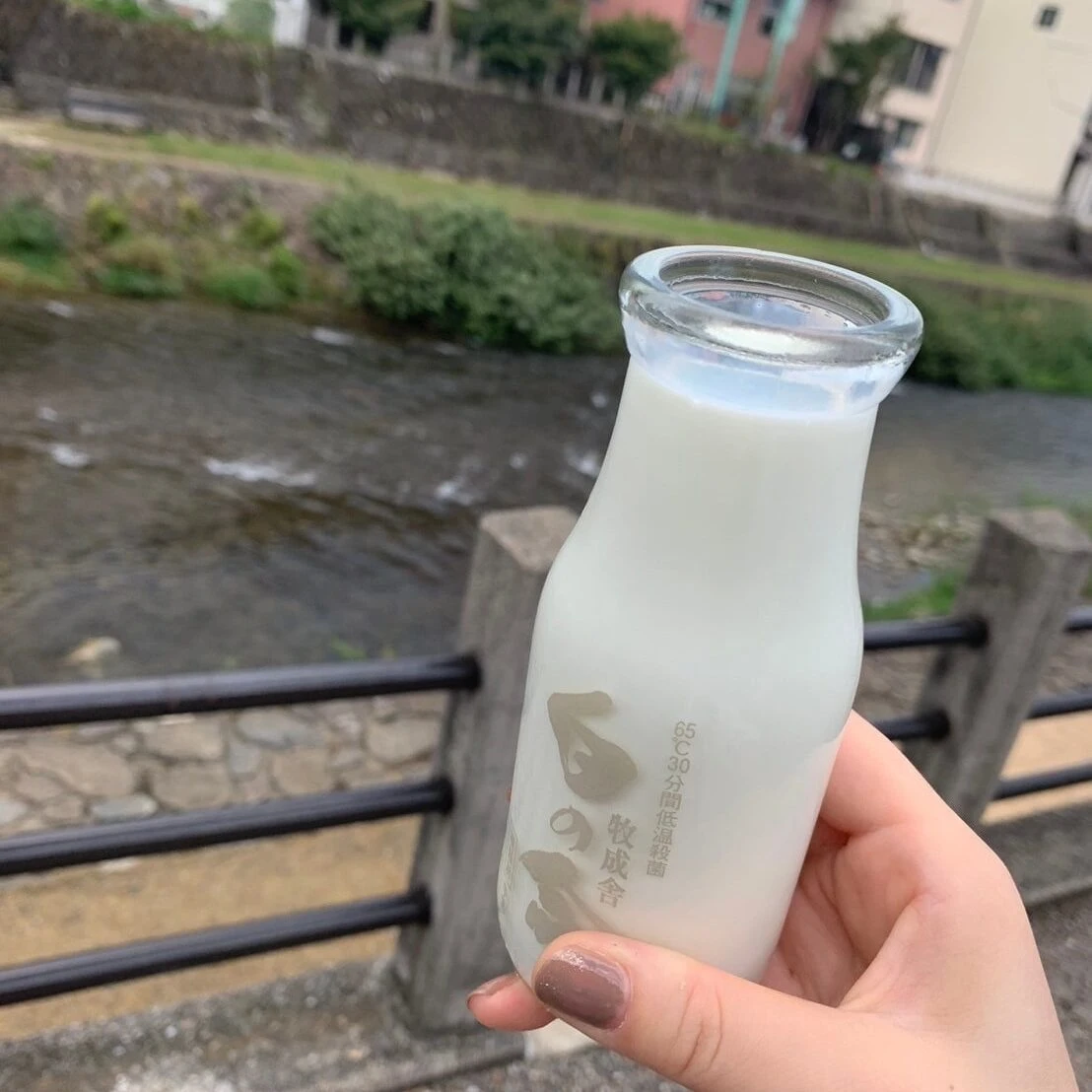 飛騨高山 宮川朝市 牛乳