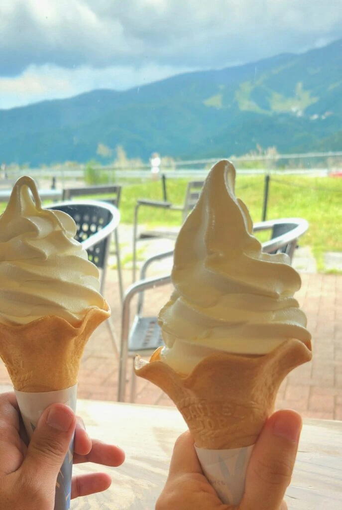 ひるがの高原 牛乳 ミルク感が強いソフトクリーム 