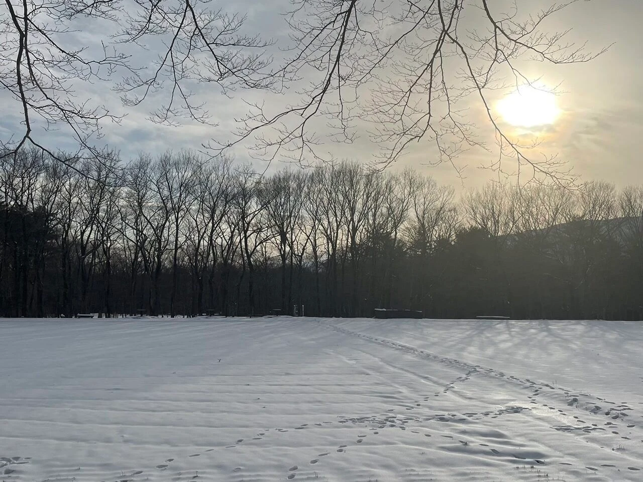 星野リゾート　リゾナーレ那須　雪　畑