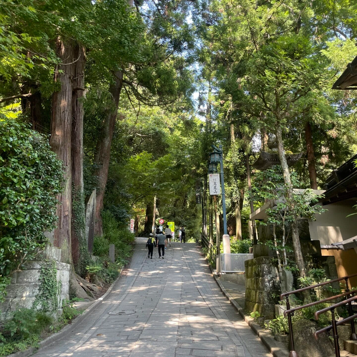 1号路入り口の坂