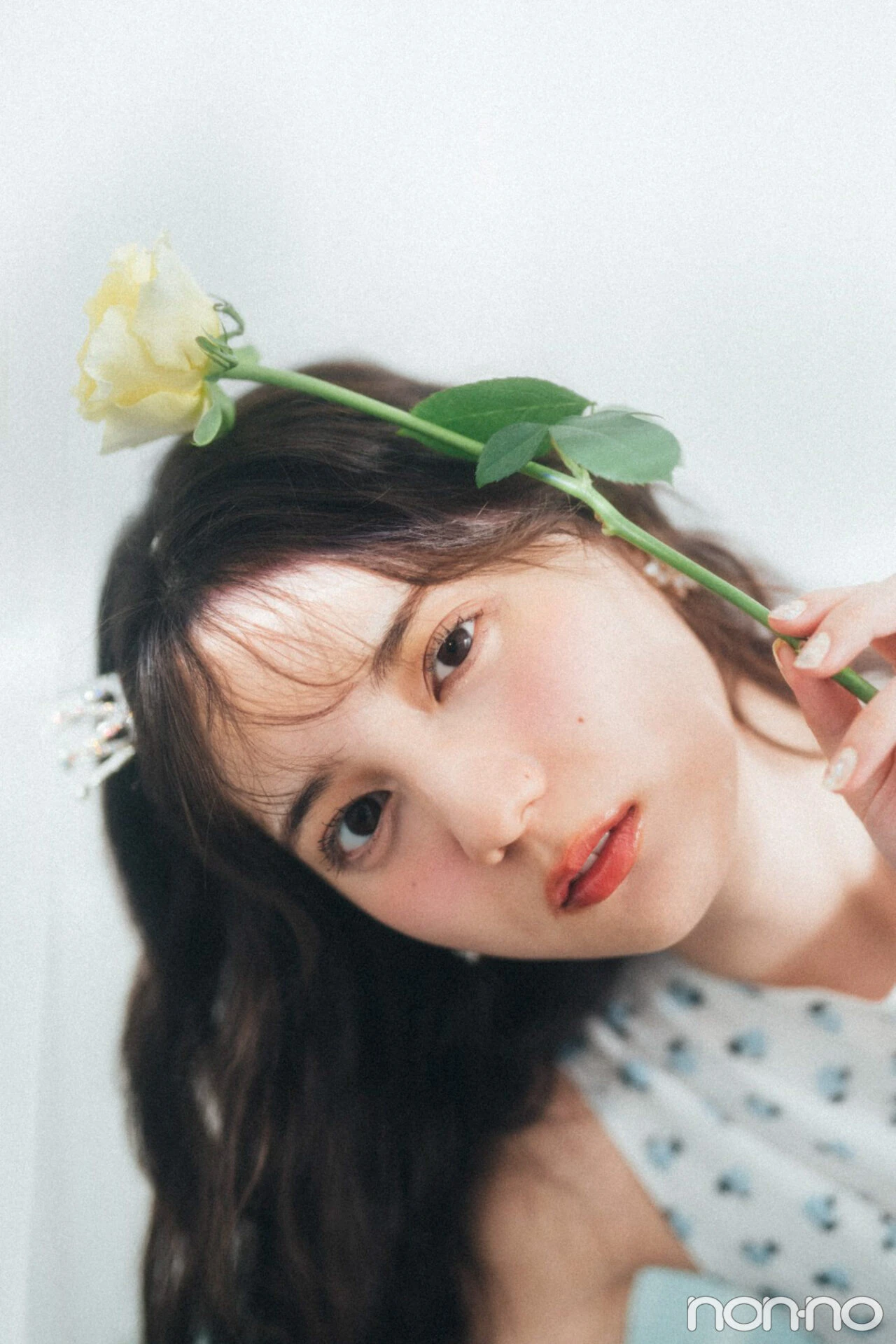 バラの花を持っている小坂菜緒