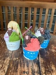 日光NASUのラスク屋さんのジェラート