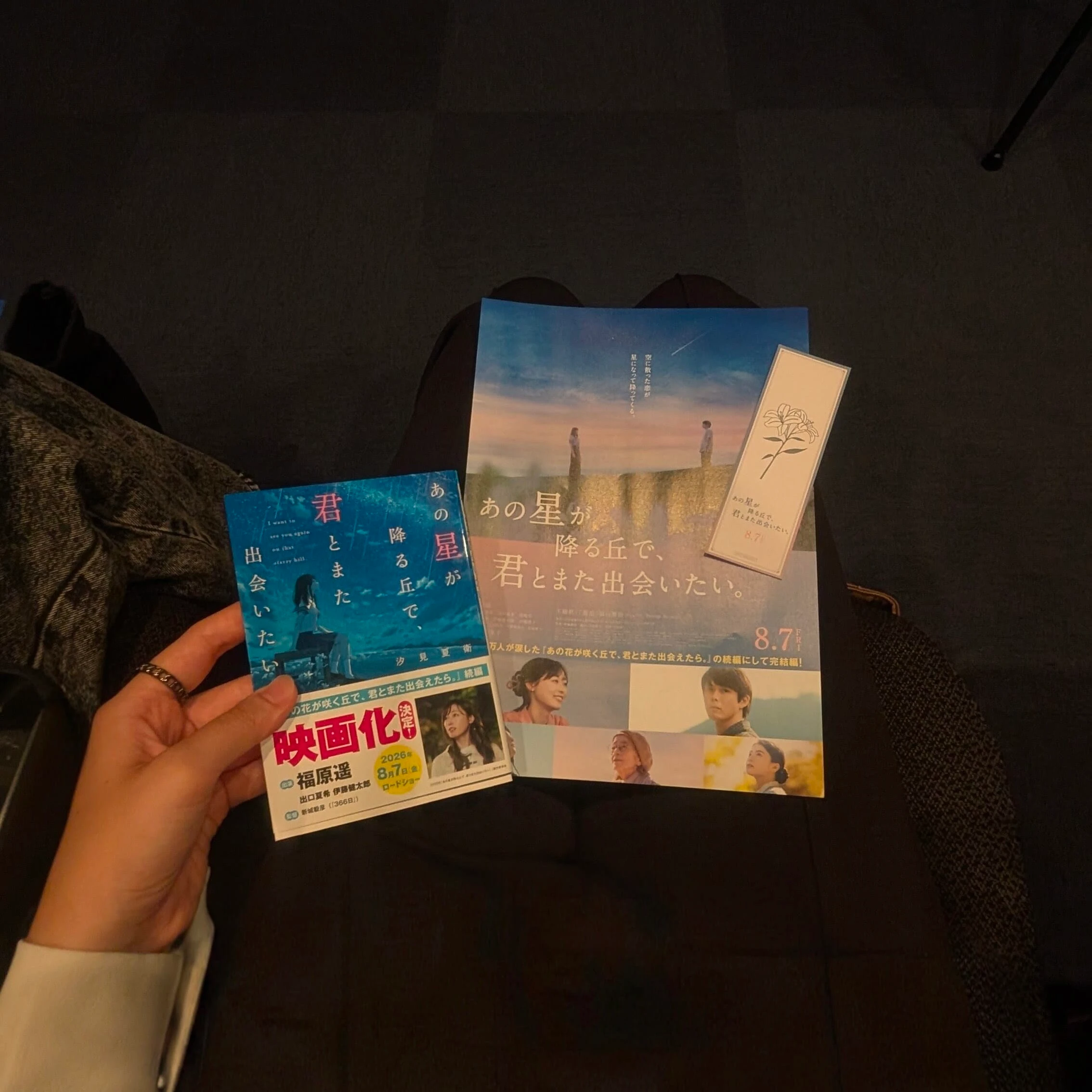 あの星が降る丘で、君とまた出会いたい。