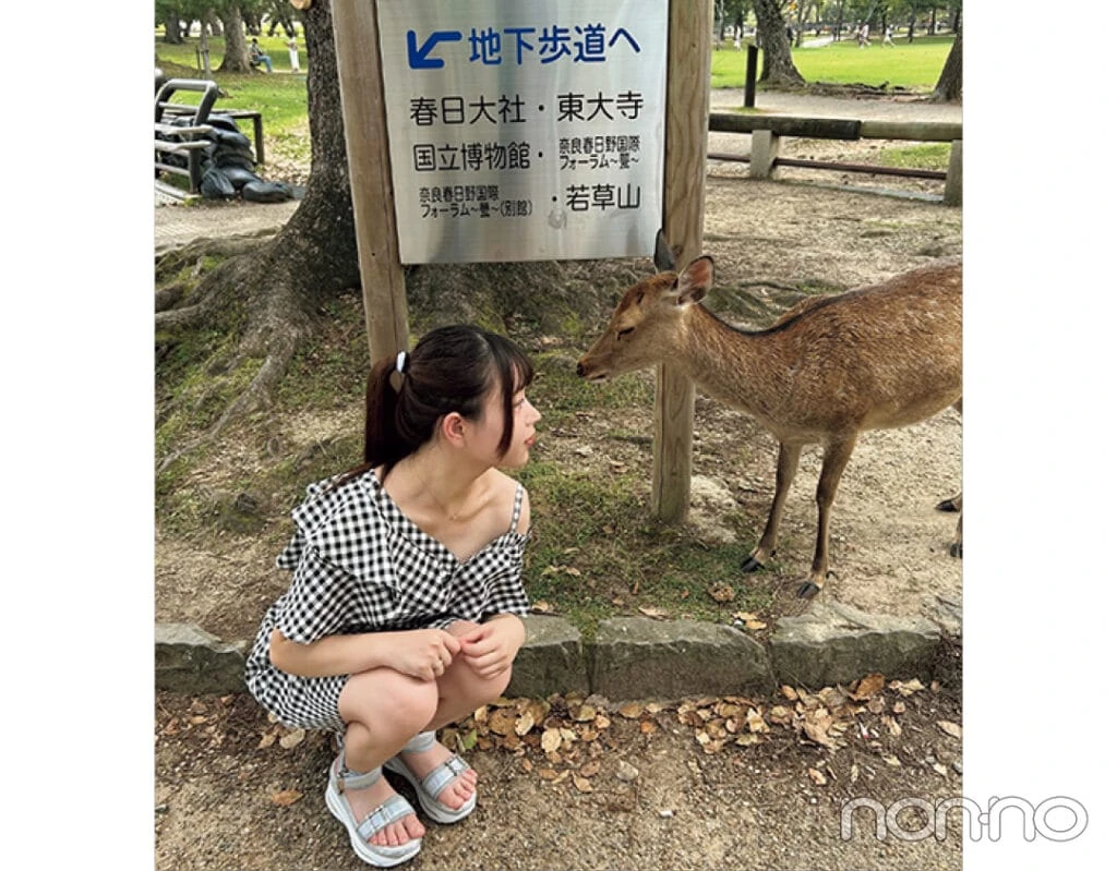大学生の春旅行-奈良公園での写真