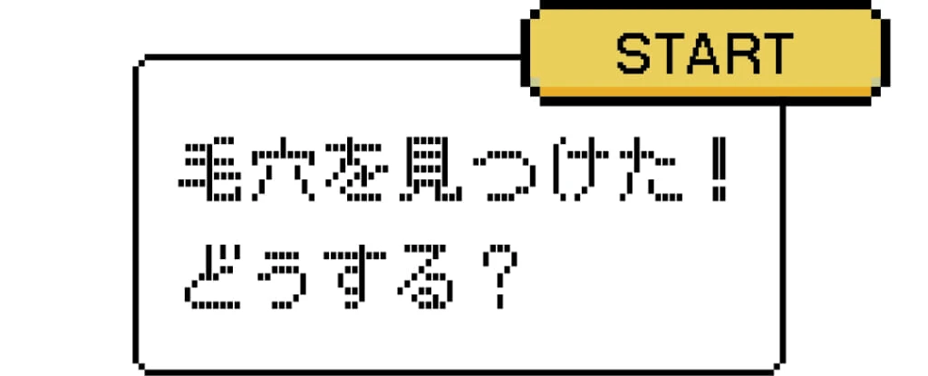 START
毛穴を見つけた!
どうする?