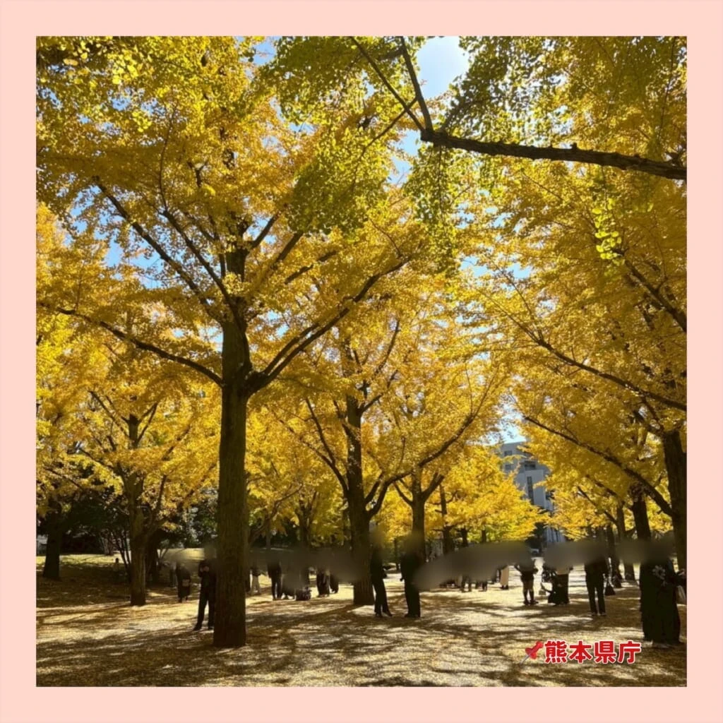 熊本県庁裏