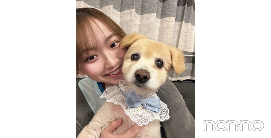 村上なずなの最近のお気に入り写真