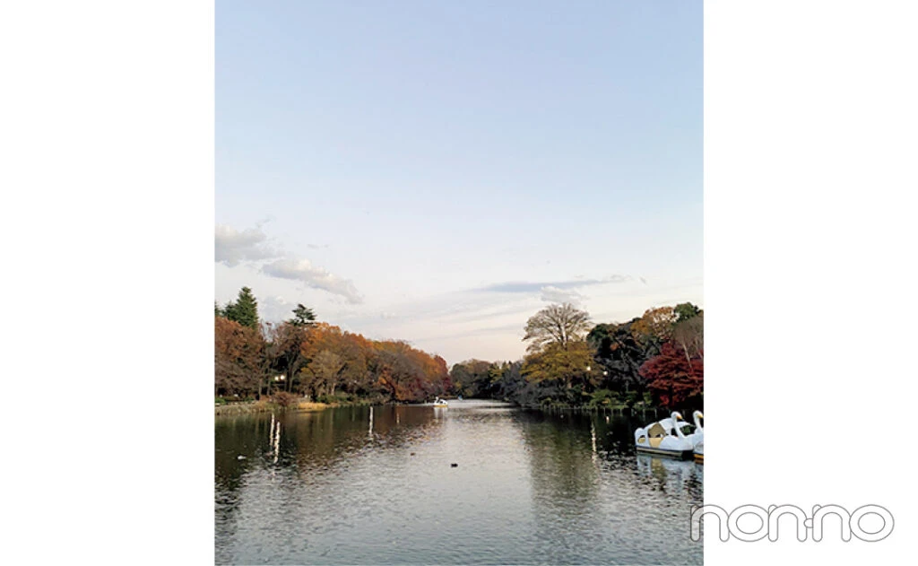 こまめさん・大学4年