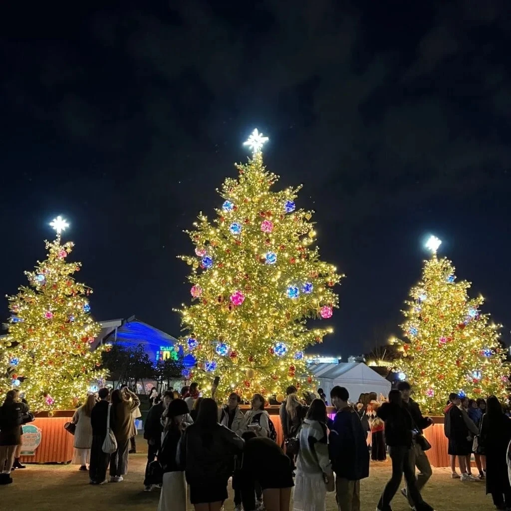 クリスマスマーケット in 大阪 てんしば 2024 3本のクリスマスツリー