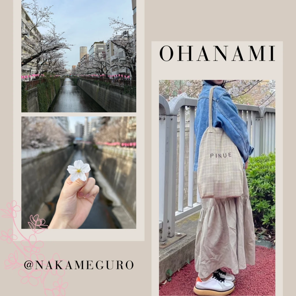 大学生のお花見に行く日のコーデまとめ