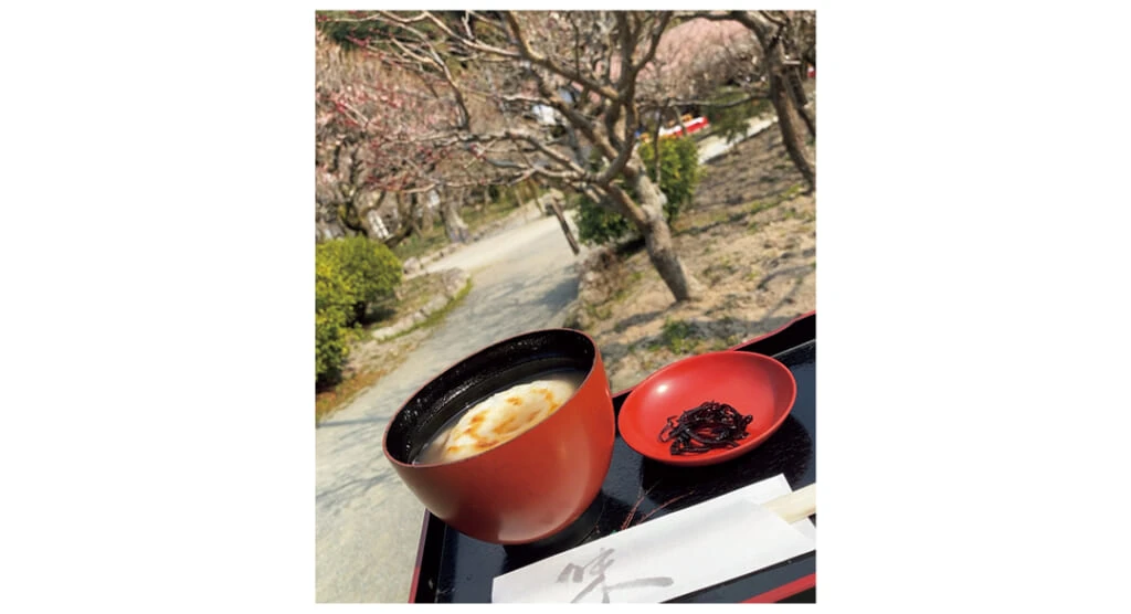 和菓子をお供にゆったりお花見(つむさん・大学3年)