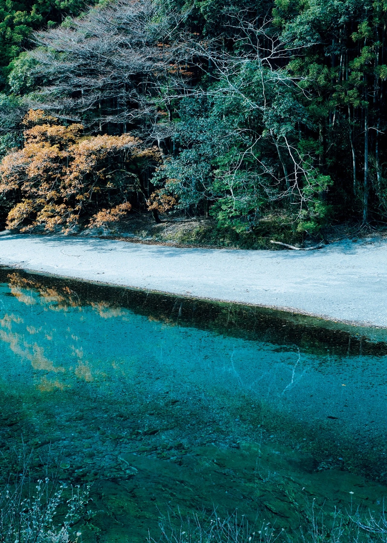 汗見(あせみ)川の風景
