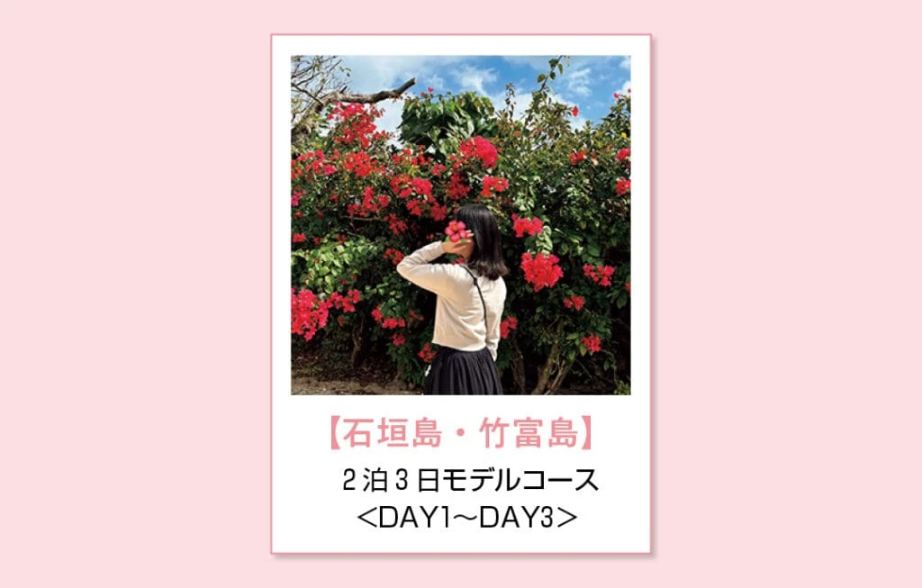 【石垣島・竹富島】2泊3日モデルコース<DAY1～DAY3＞