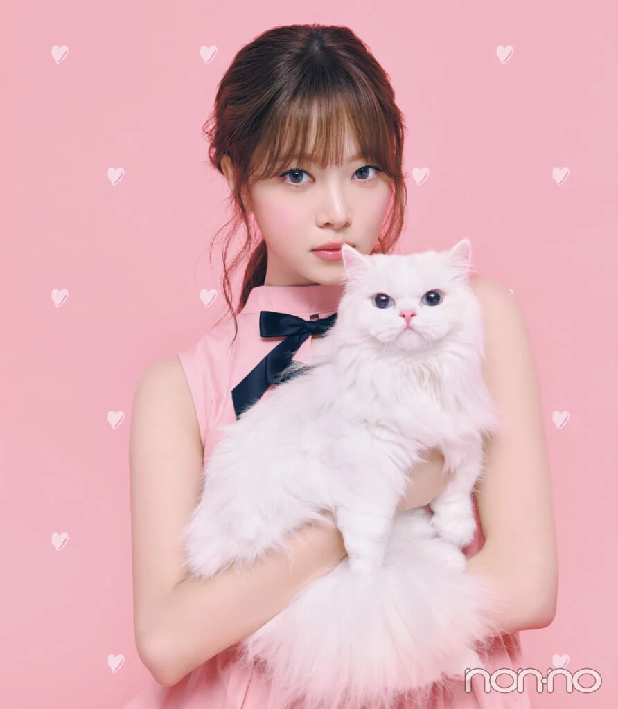 猫を抱くHONG EUNCHAE（LE SSERAFIM）