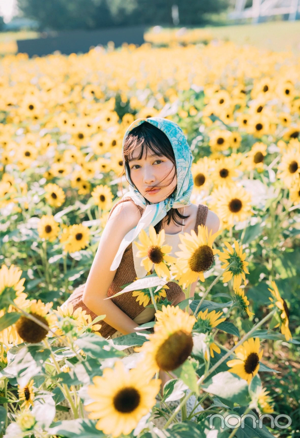 ヒマワリ畑の中で佇む岡本夏美