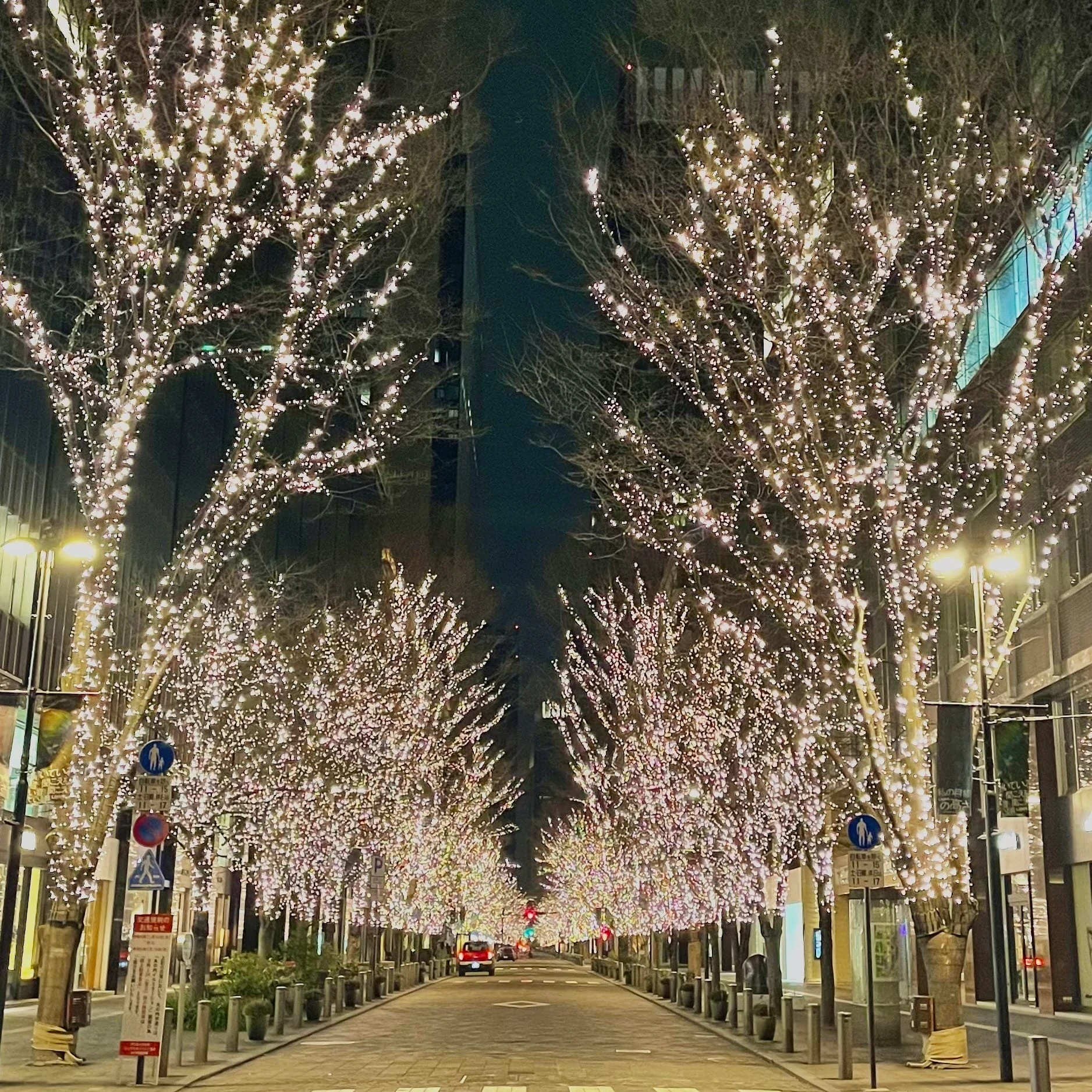 東京丸の内 イルミネーション