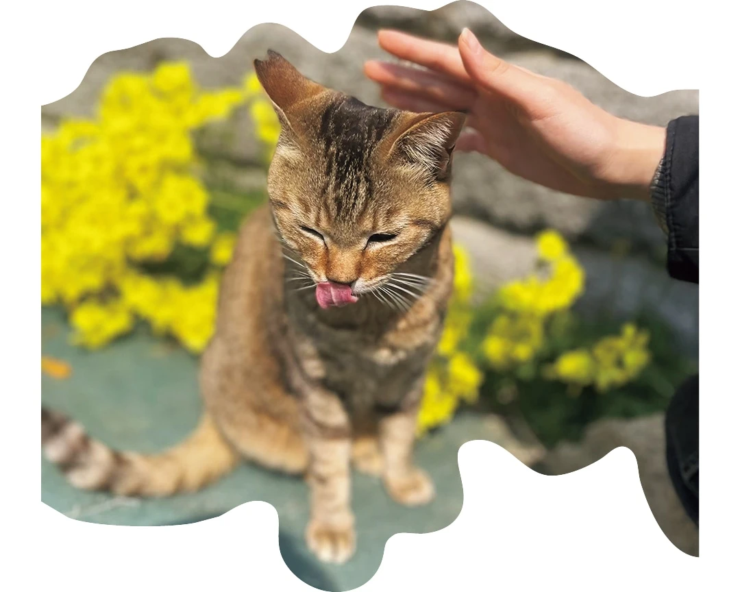 動物との触れ合いで疲れた心をほぐしたい(咲さん・大学1年)