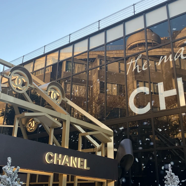 CHANELウィンターテイルの外観