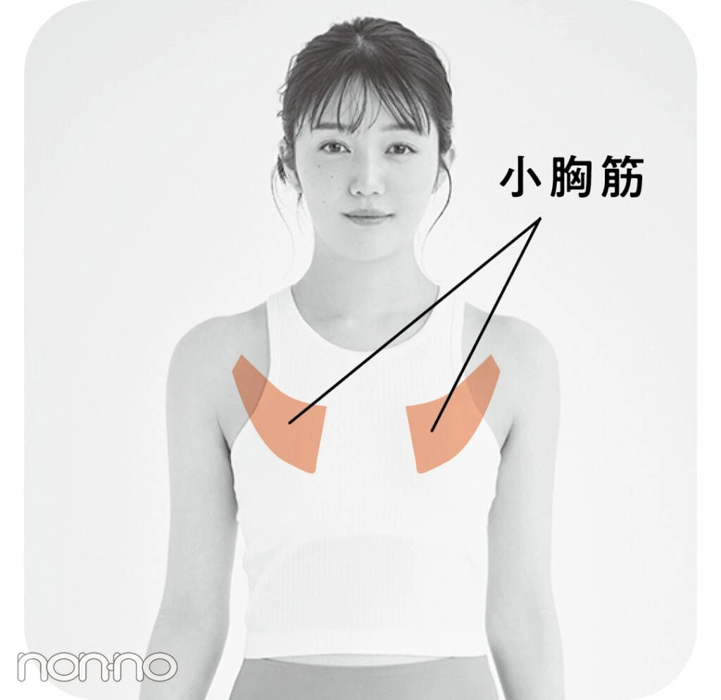 小胸筋