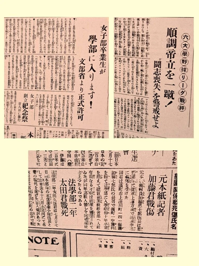 『虎に翼』展 明治大学博物館 新聞記事