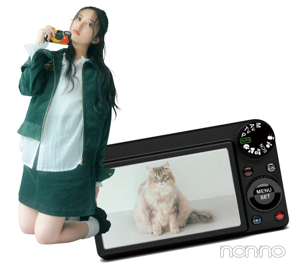 写真撮影が好きな井上和