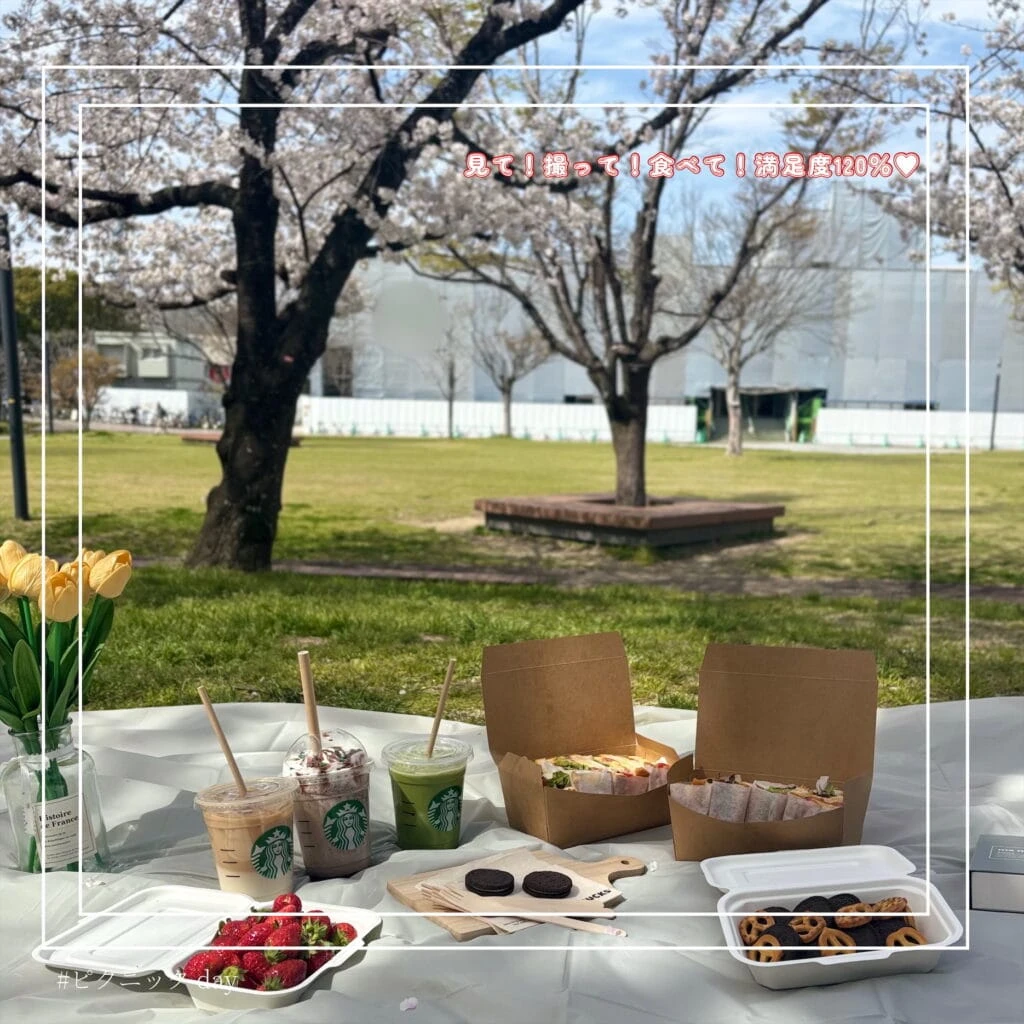 ピクニックの写真