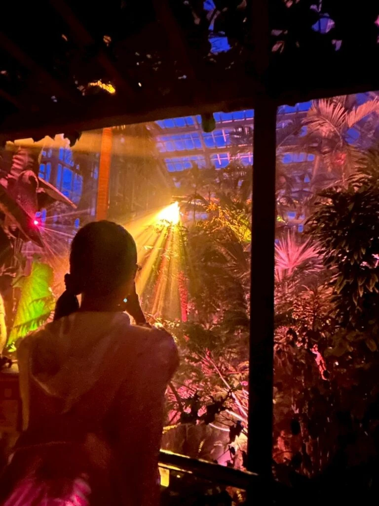 『LIGHT CYCLES』神々しいの光の景色