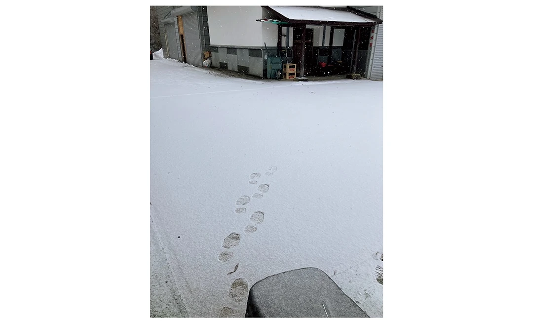 合宿では雪密室を再現しました!(くらげさん・大学3年)