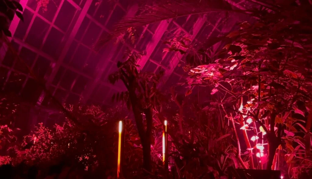 『LIGHT CYCLES』赤の光の景色