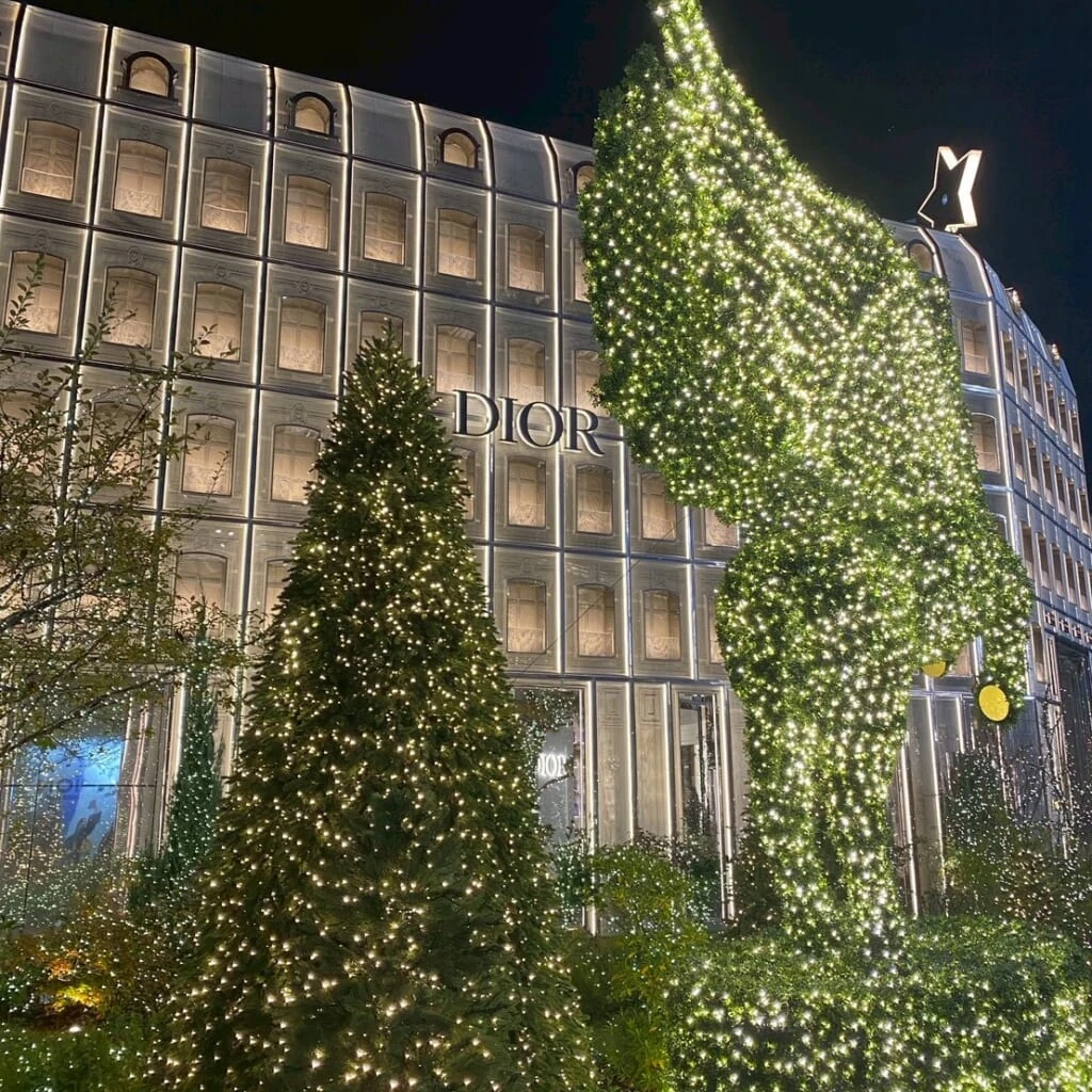 DIOR