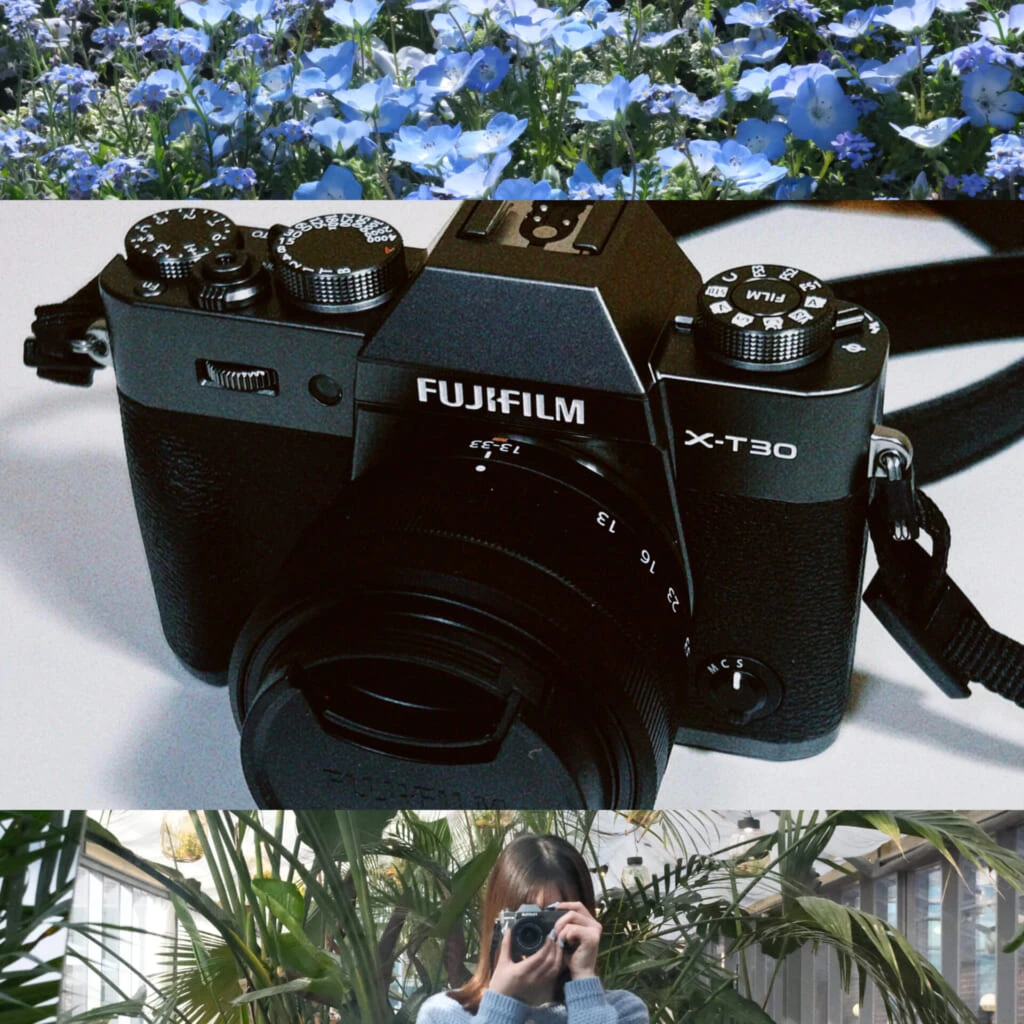 富士通カメラの見本 カメラがある生活】FUJIFILM X-T30IIIを買って気づいた日常の愛おしさ