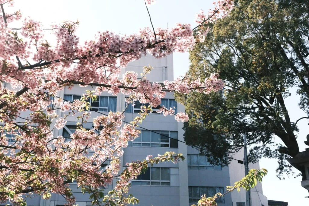 開花