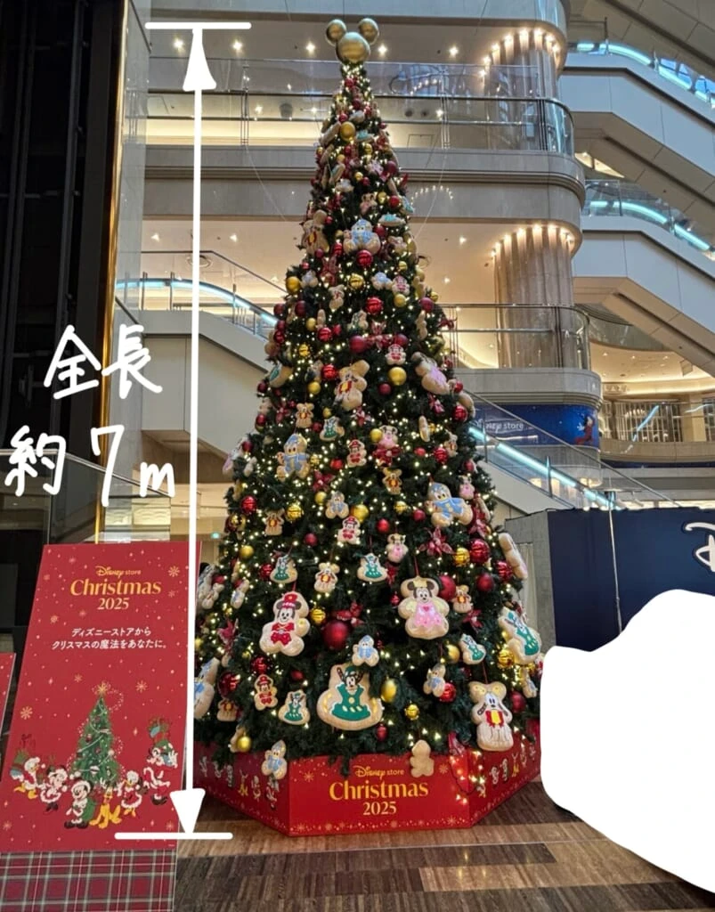 クリスマスツリー
