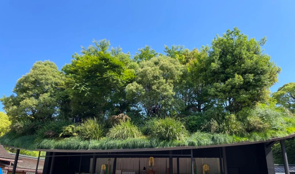 太宰府天満宮仮殿