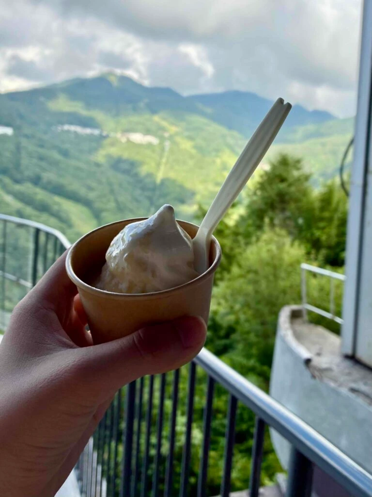 桃シロップがかかったカップのアイスクリームと山
